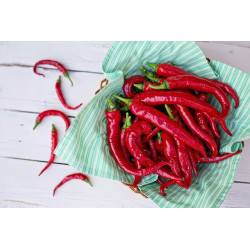 Piment de Cayenne 