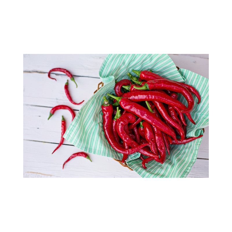 Piment de Cayenne 