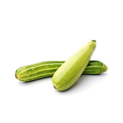 Courgette Ortolana di Faenza 