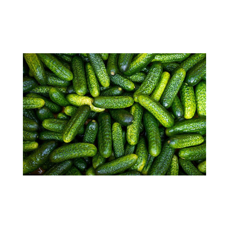 Cornichons de Paris 